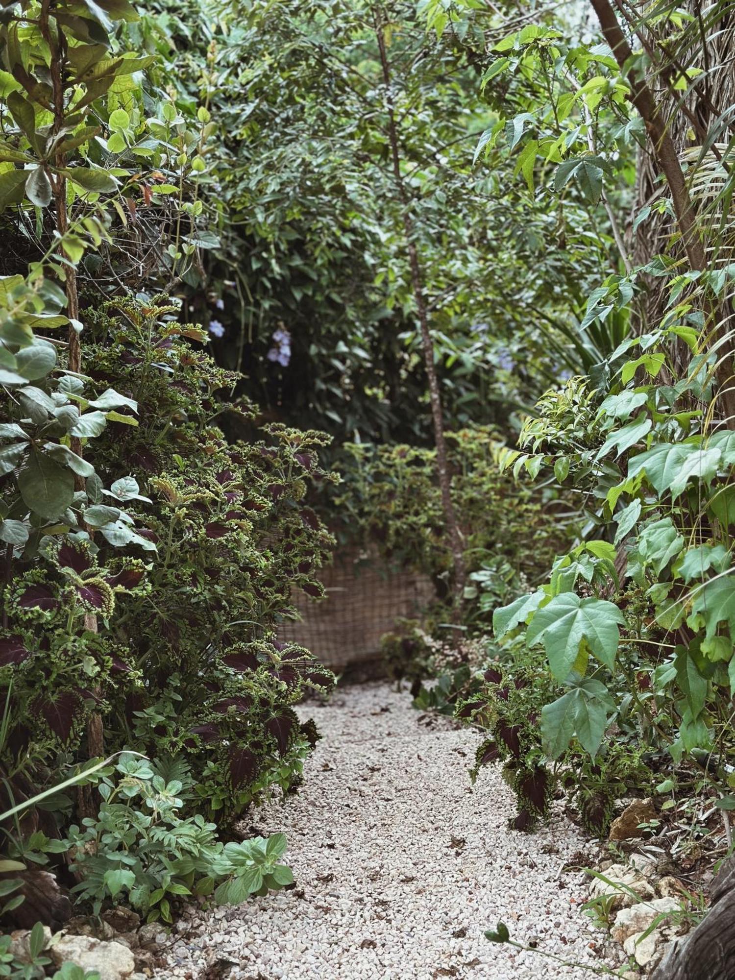 Vila Abaton Alto Paraíso de Goiás Extérieur photo